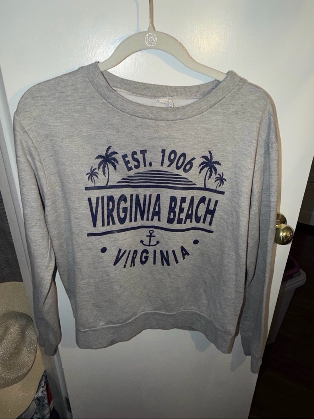 Virginia Beach Graphic Crewneck Sweatshirt - Light Gray